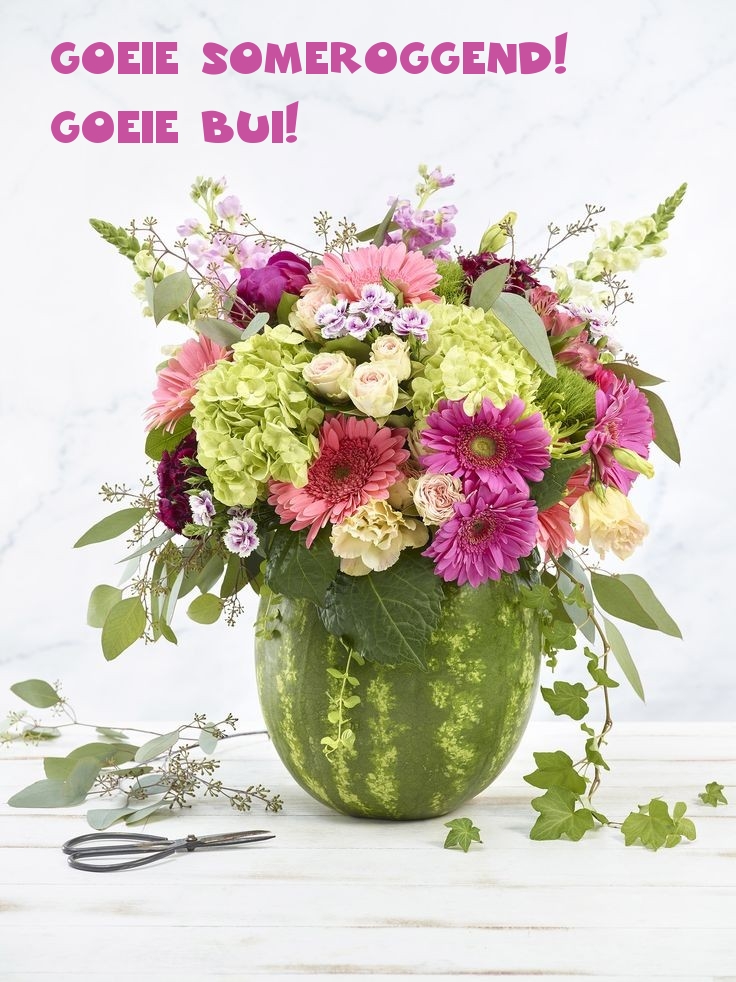 Goeie someroggend! Goeie bui!