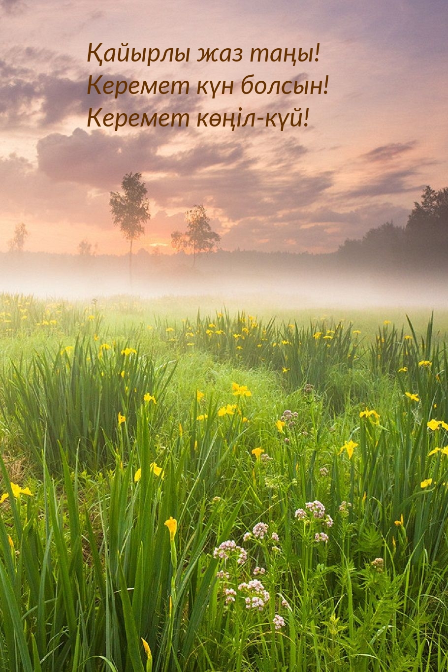 Қайырлы жаз таңы! Керемет күн болсын!