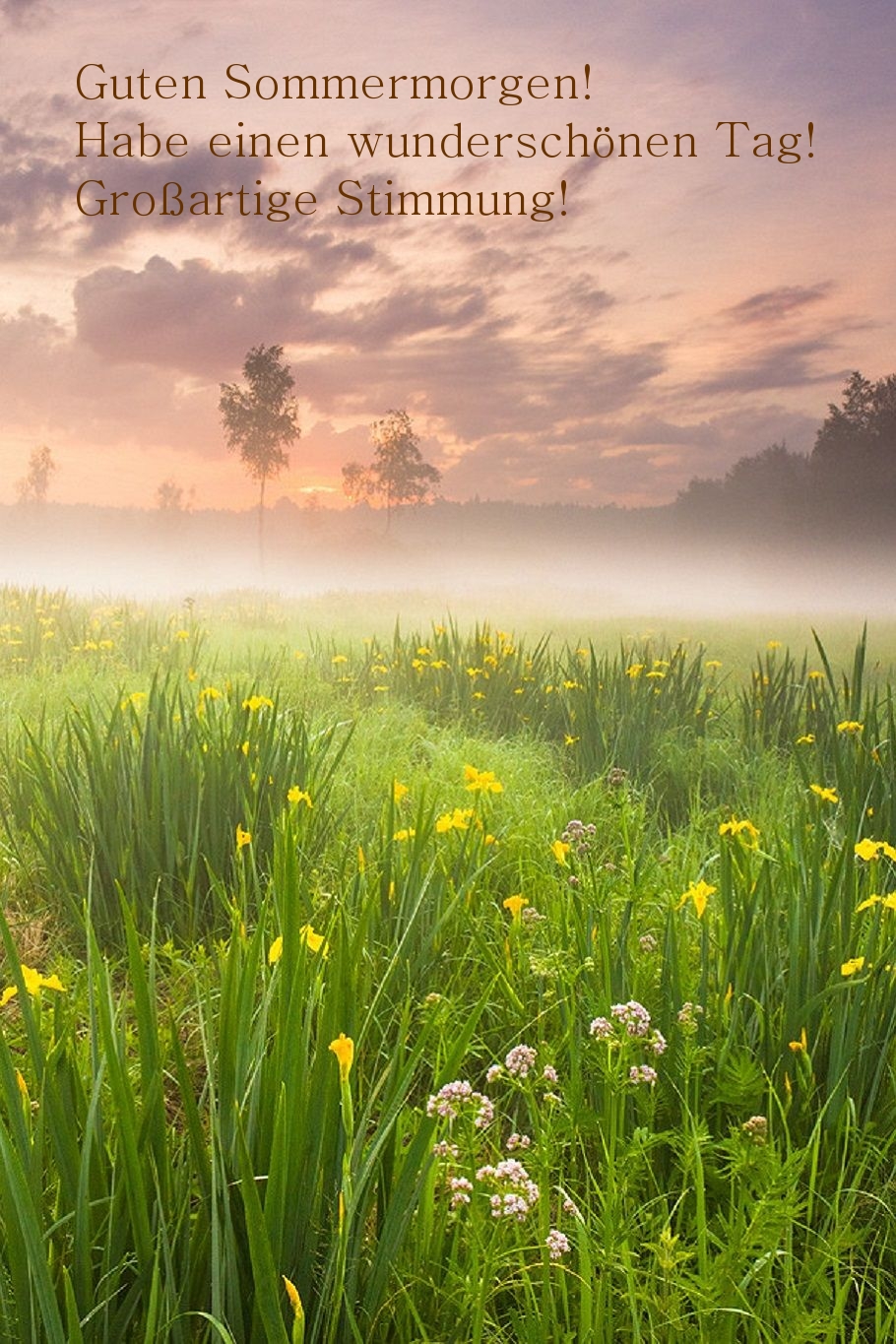 Guten Sommermorgen! Habe einen wunderschönen Tag!