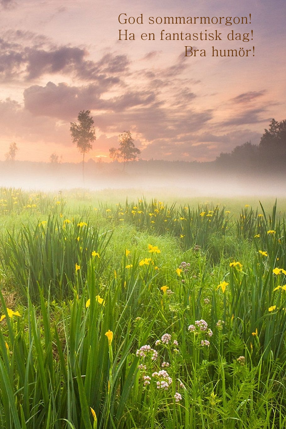 God sommarmorgon! Ha en fantastisk dag! Bra humör!