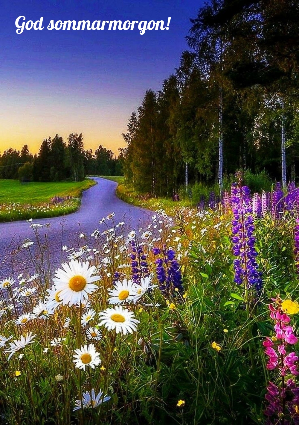 God sommarmorgon!