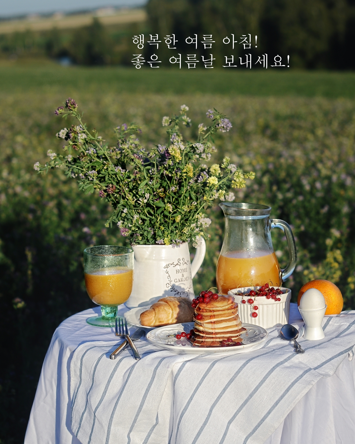 행복한 여름 아침! 좋은 여름날 보내세요!