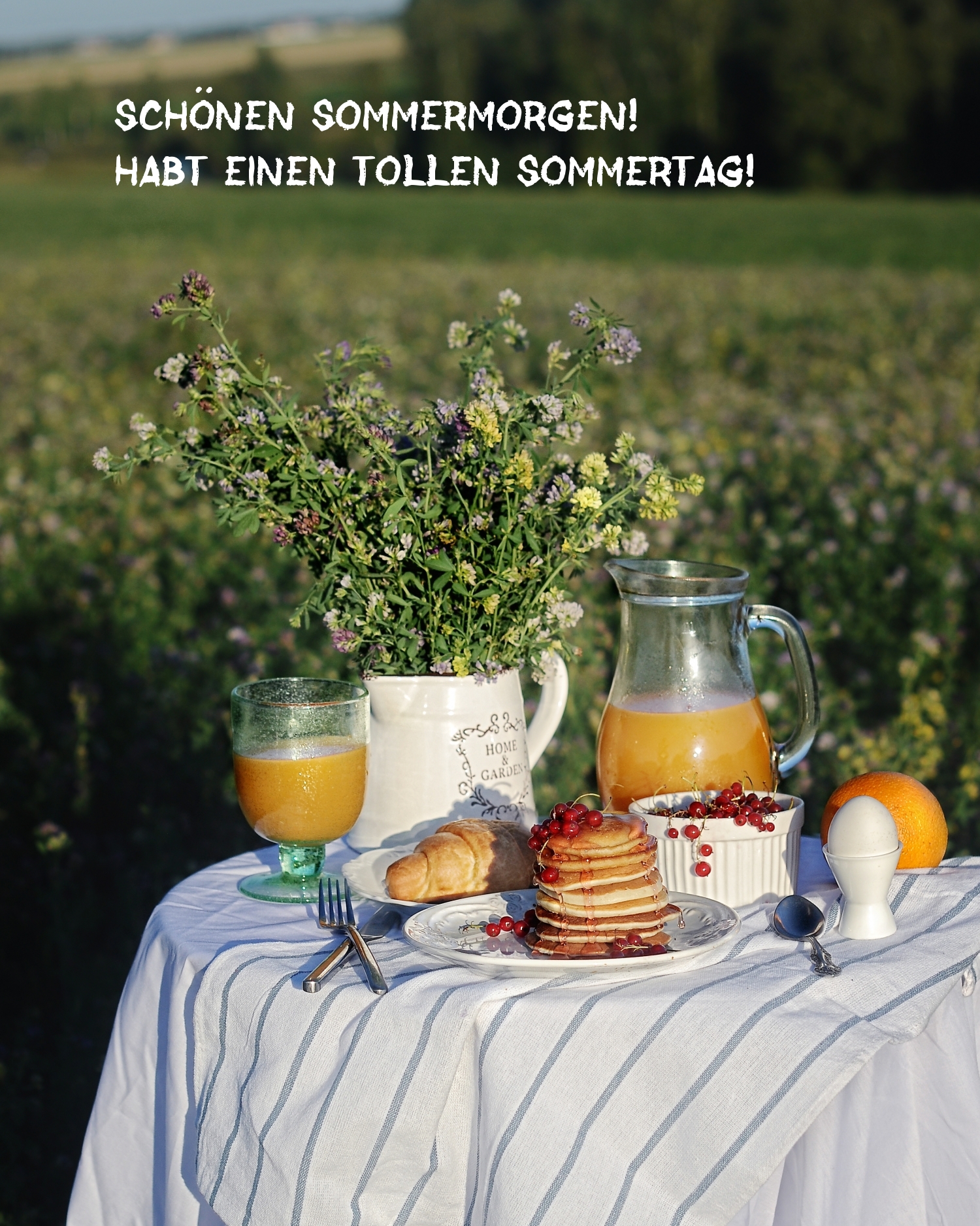 Schönen Sommermorgen! Habt einen tollen Sommertag!