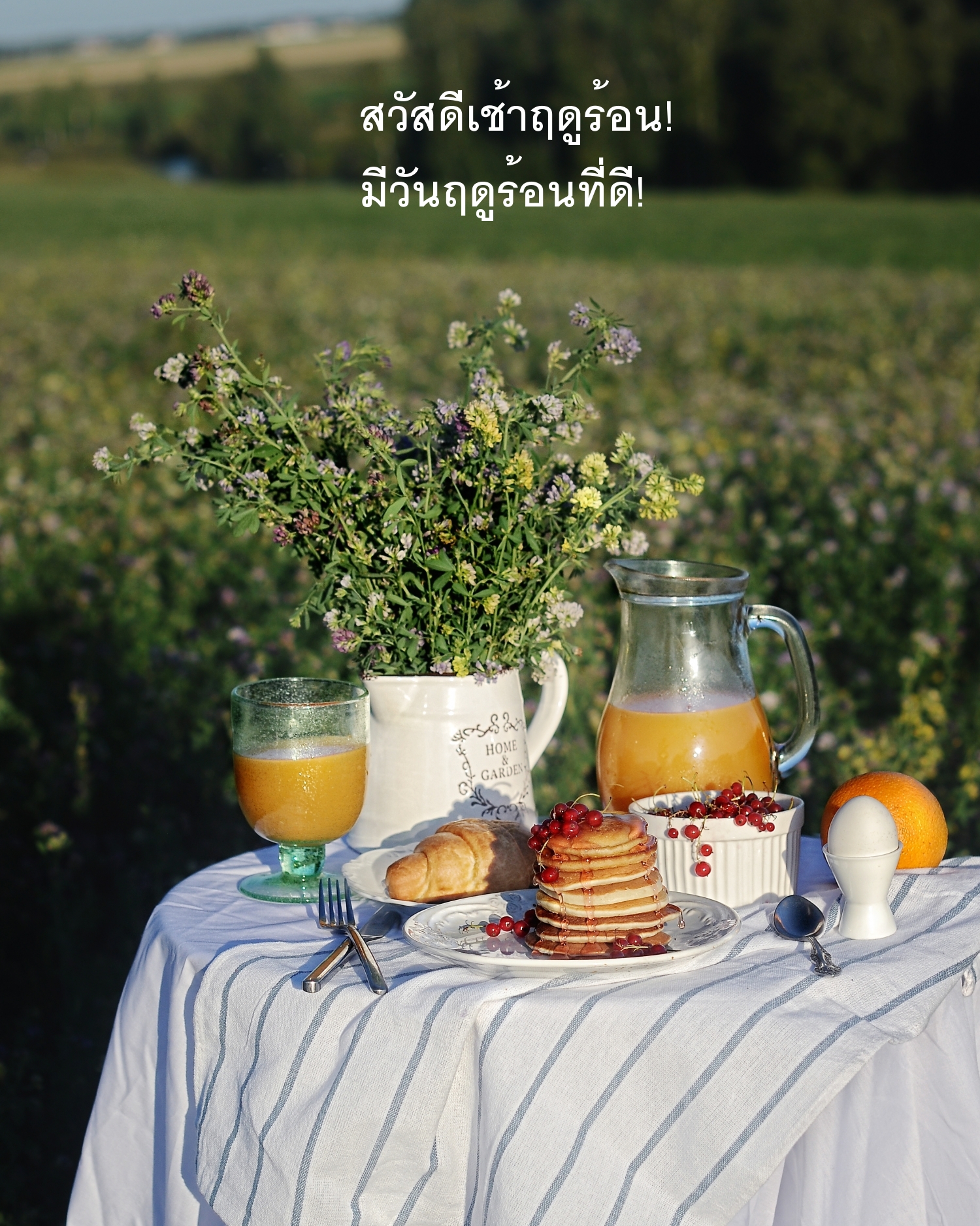 สวัสดีเช้าฤดูร้อน! มีวันฤดูร้อนที่ดี!