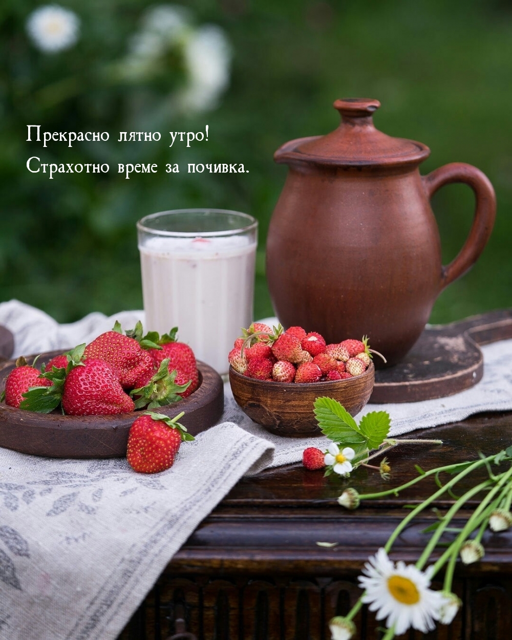 Прекрасно лятно утро! Страхотно време за почивка.