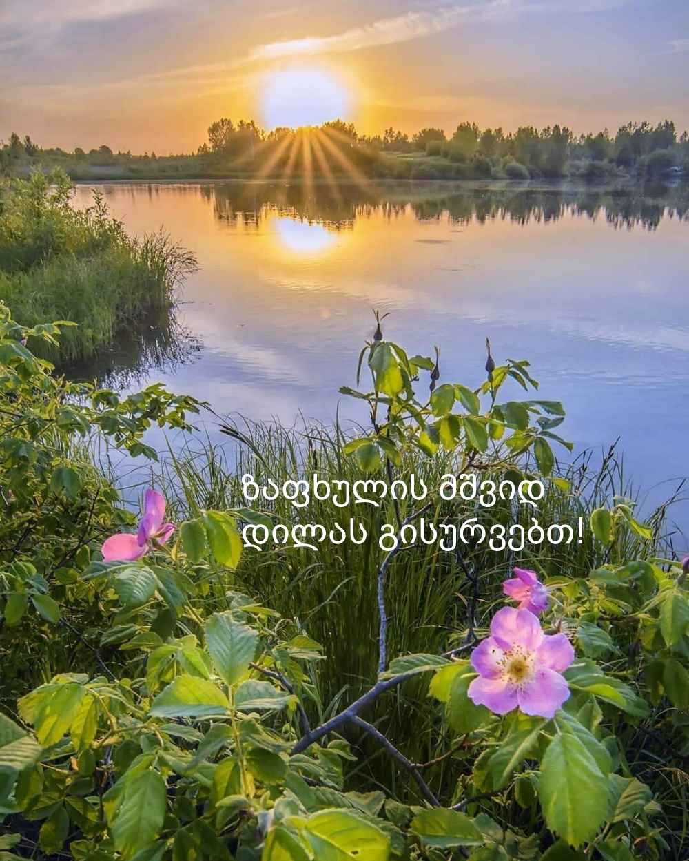 ზაფხულის მშვიდ დილას გისურვებთ!