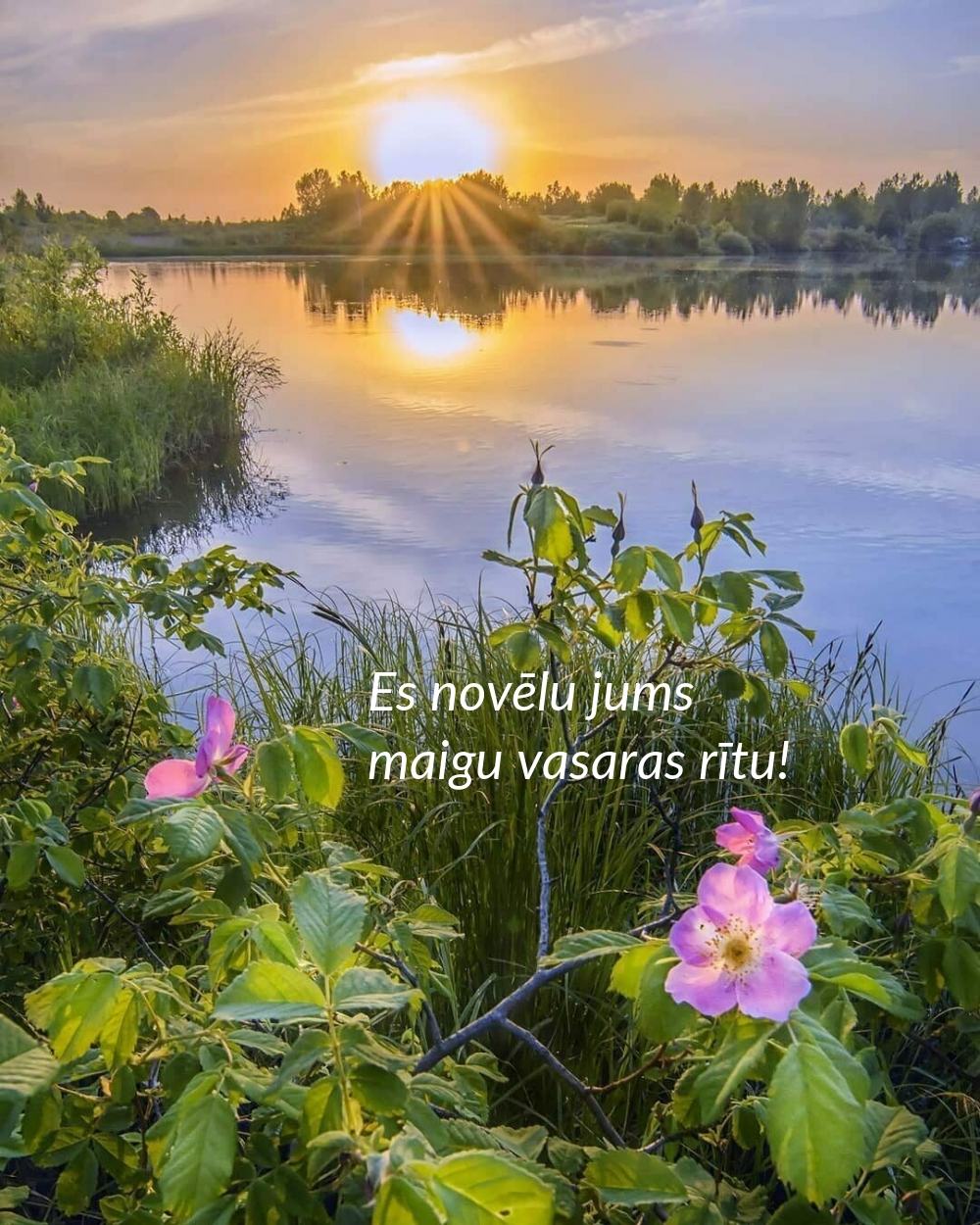 Es novēlu jums maigu vasaras rītu!