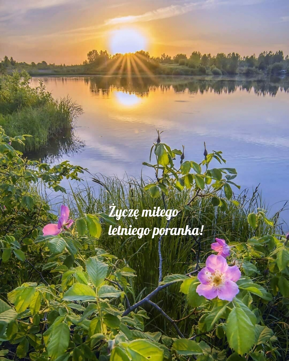 Życzę miłego letniego poranka!
