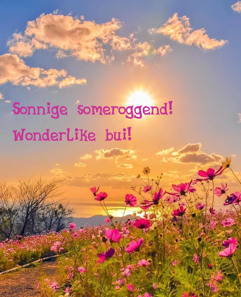 Sonnige someroggend! Wonderlike bui!
