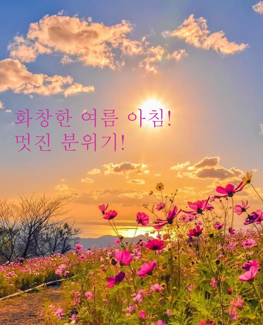 화창한 여름 아침! 멋진 분위기!