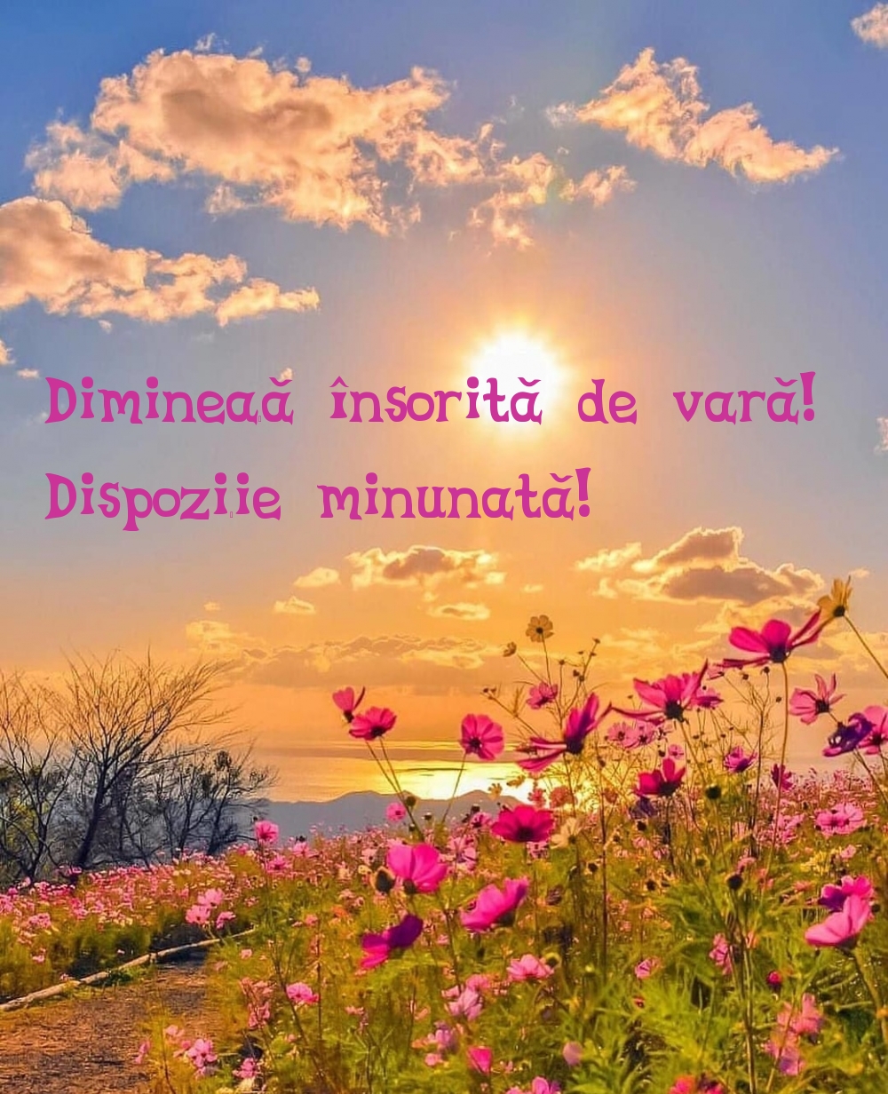 Dimineață însorită de vară! Dispoziție minunată!