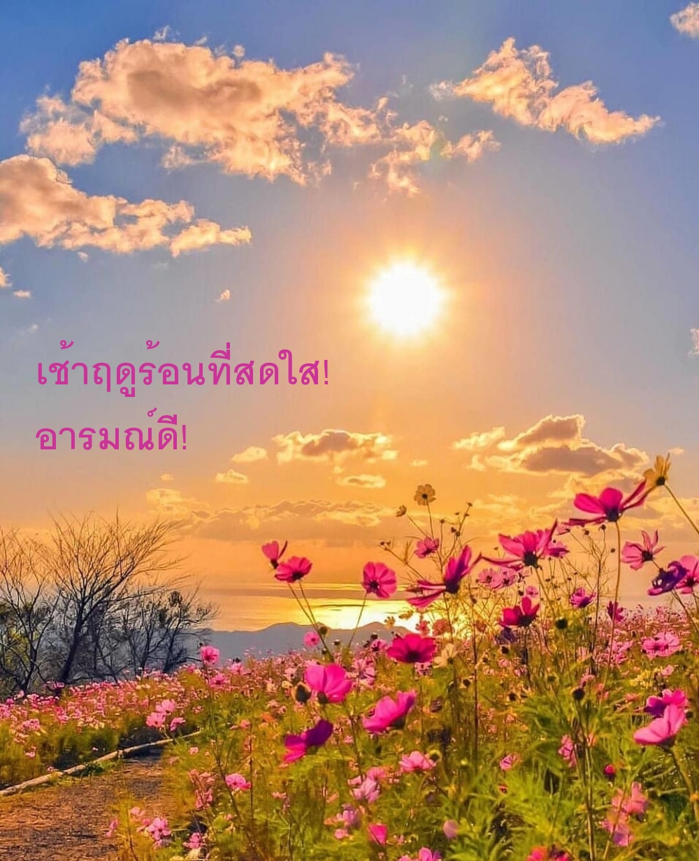 เช้าฤดูร้อนที่สดใส! อารมณ์ดี!