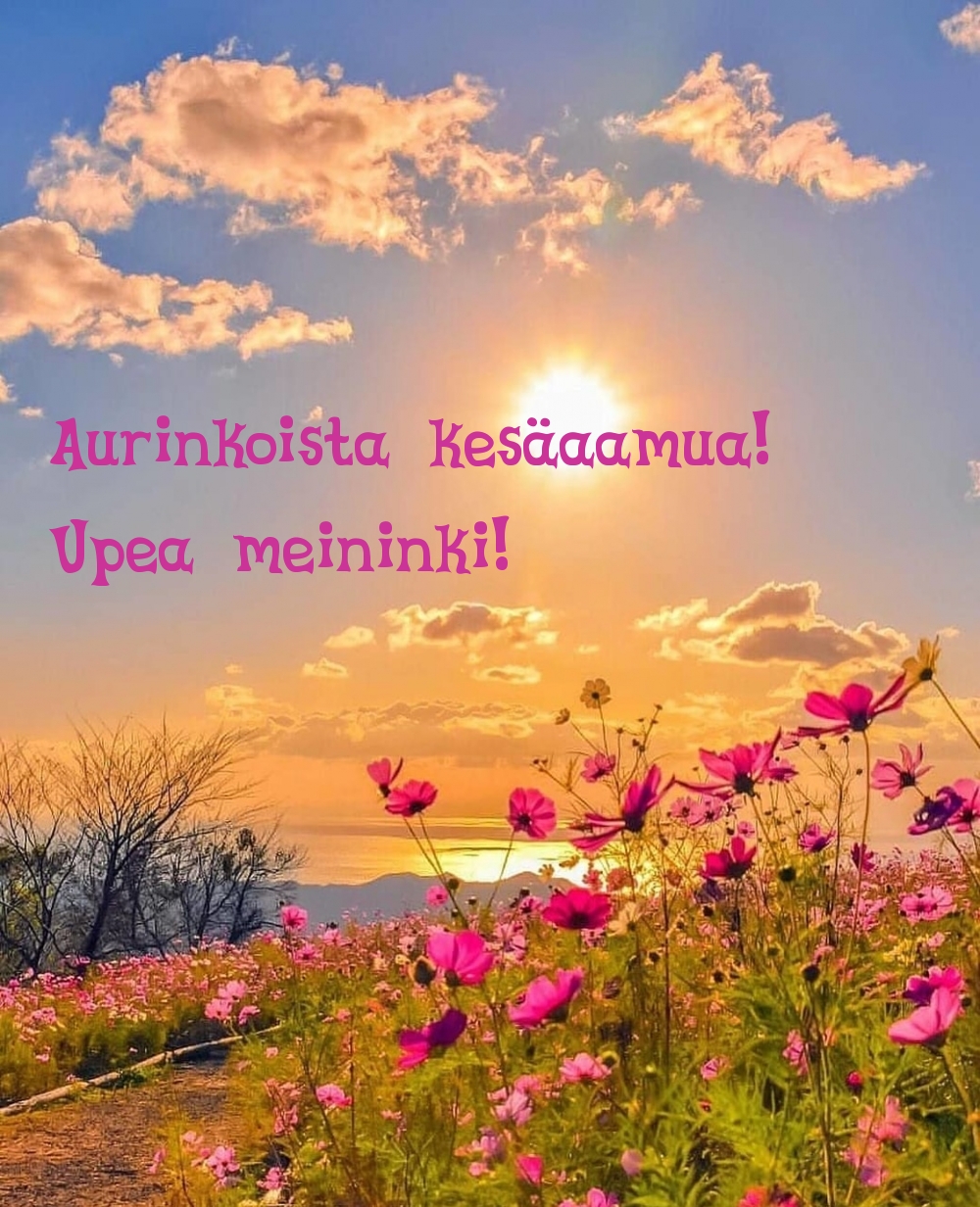Aurinkoista kesäaamua! Upea meininki!