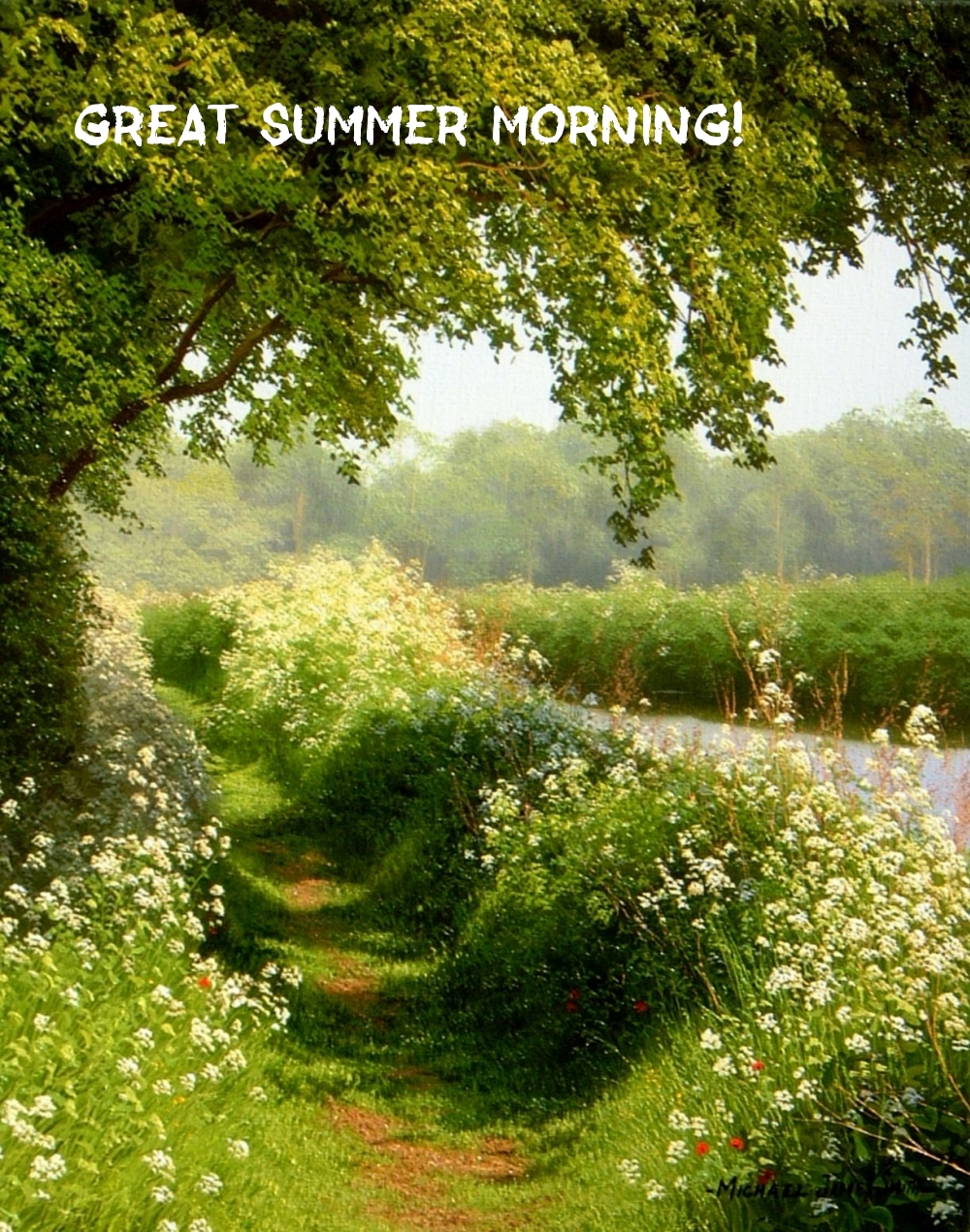 Great summer morning!