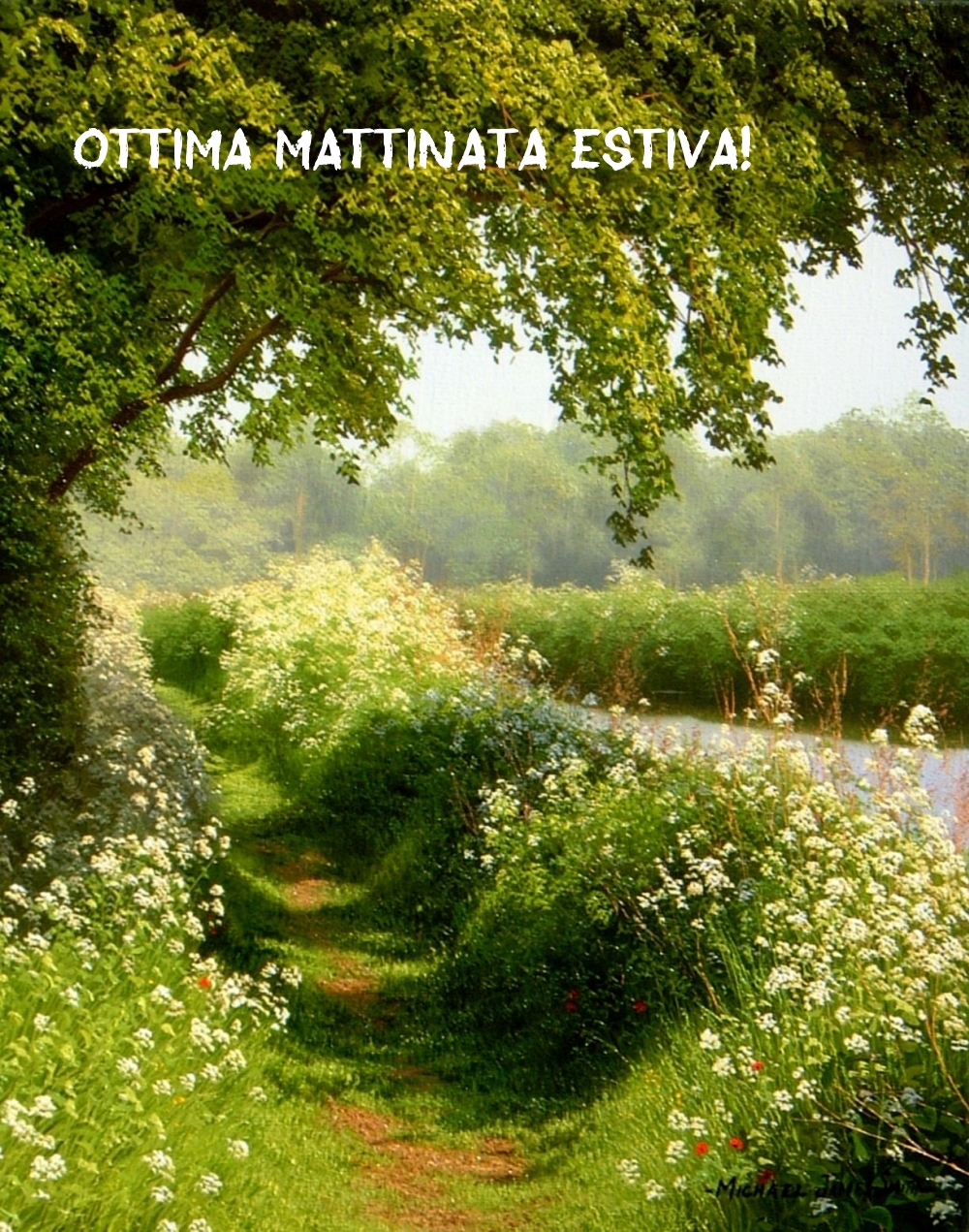 Ottima mattinata estiva!