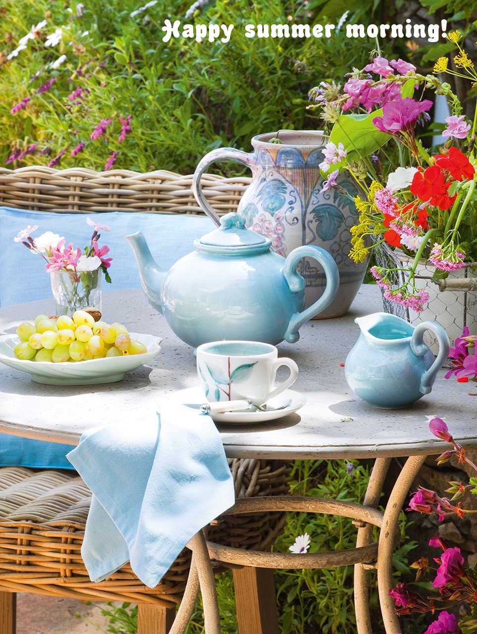 Happy summer morning!