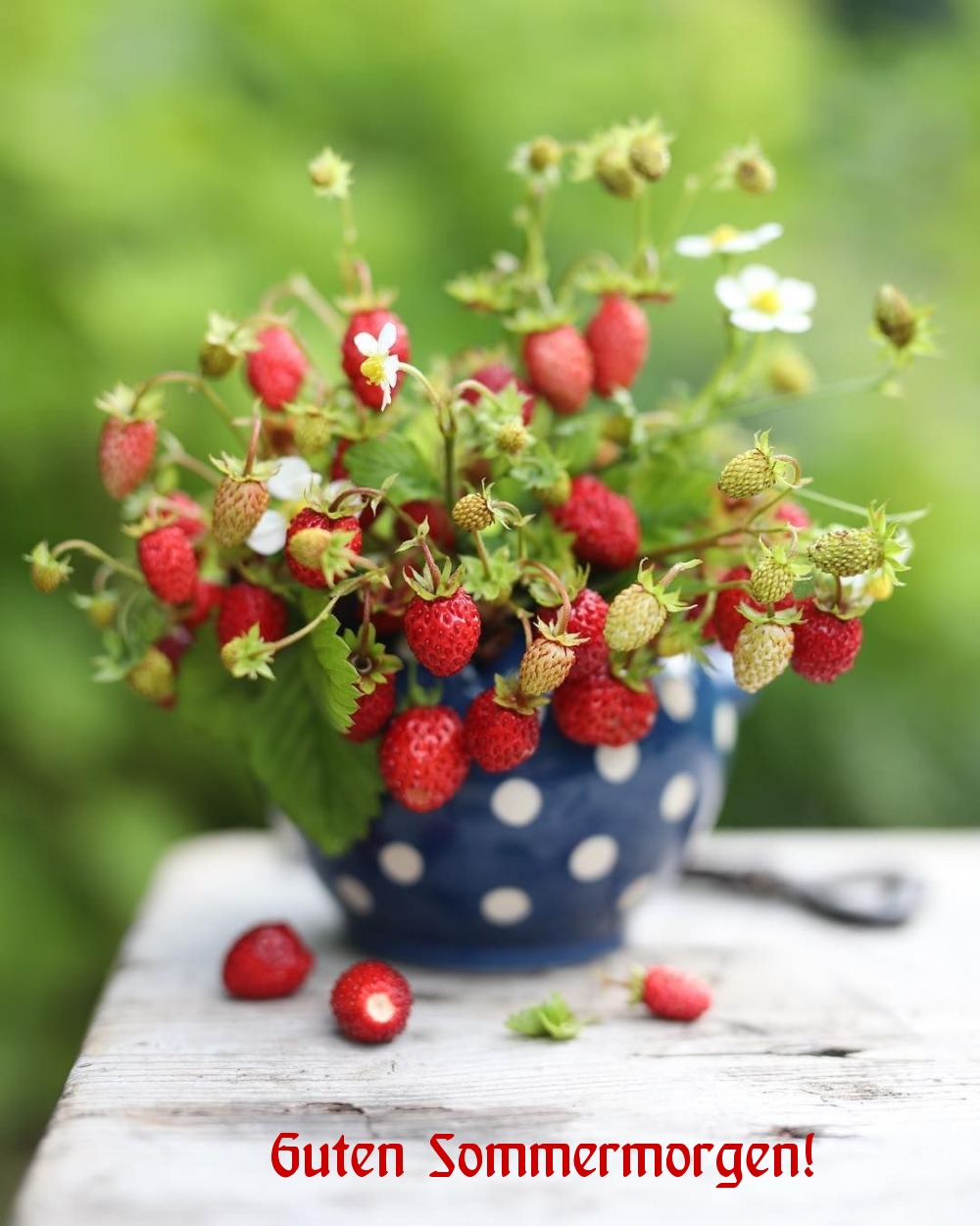 Goede zomermorgen!