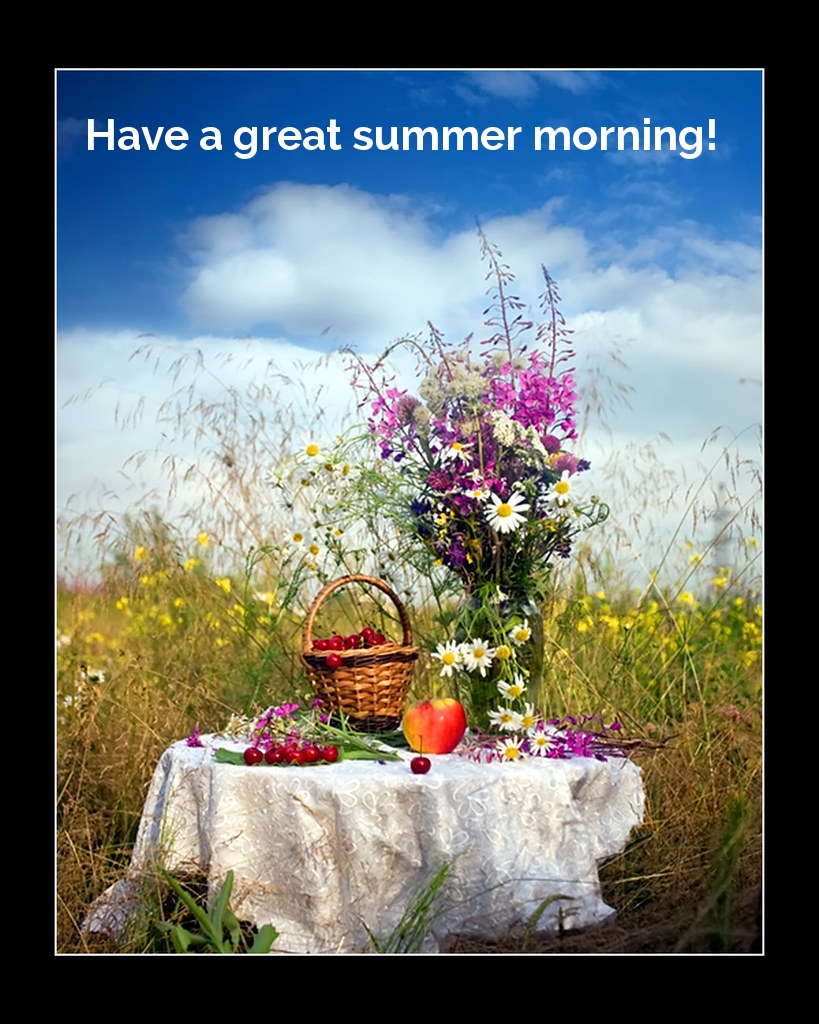 Have a great summer morning!