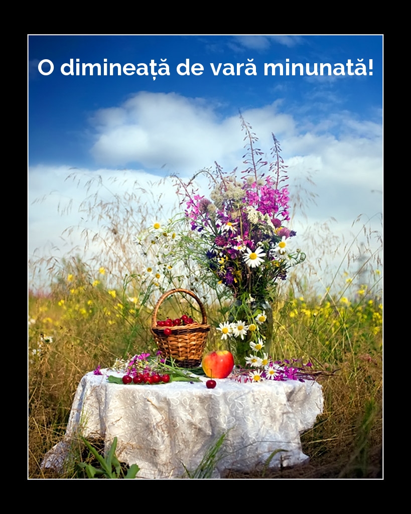 O dimineață de vară minunată!