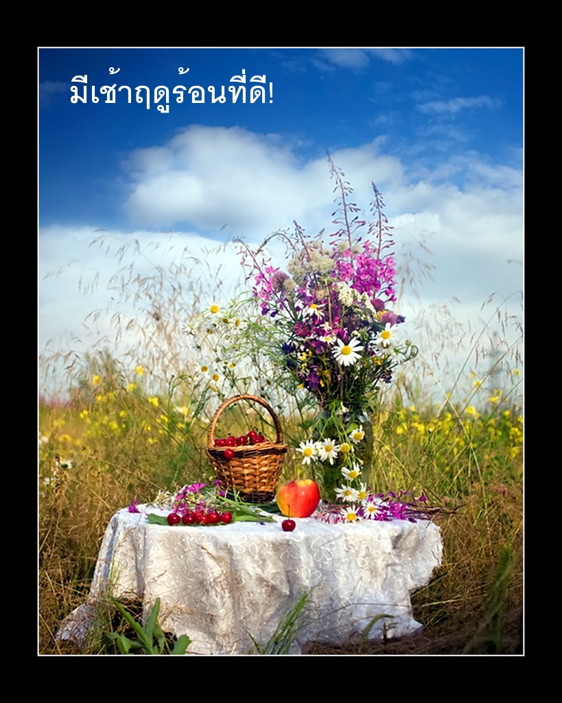 มีเช้าฤดูร้อนที่ดี!
