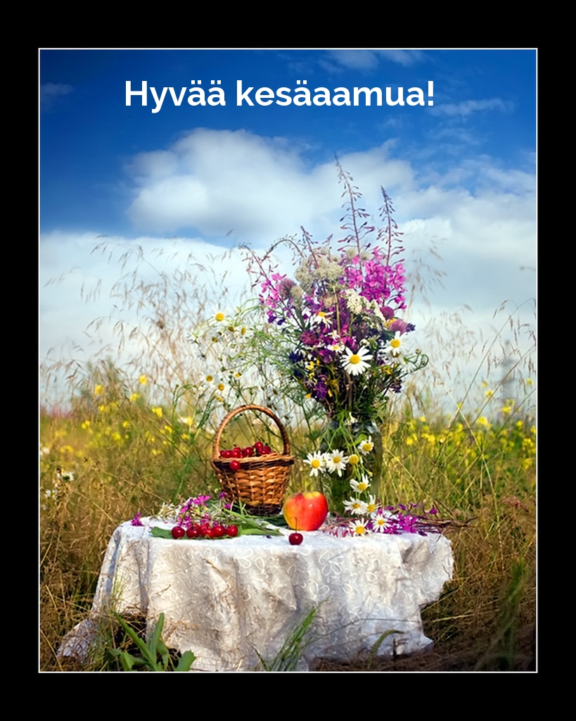 Hyvää kesäaamua!