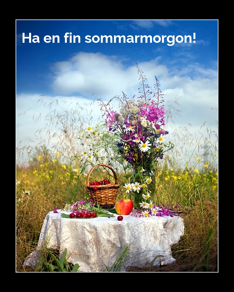Ha en fin sommarmorgon!