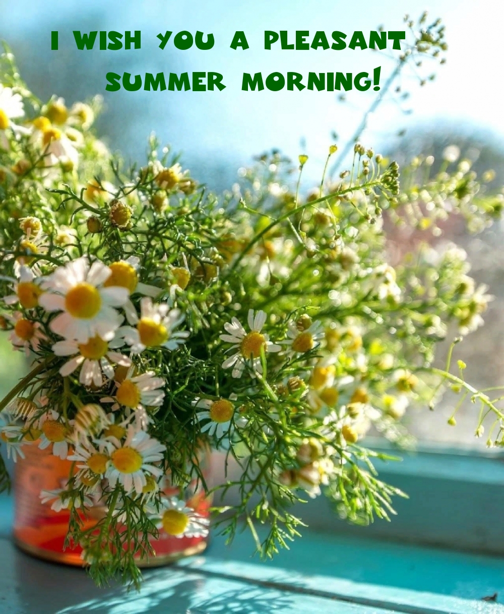 I wish you a pleasant summer morning!