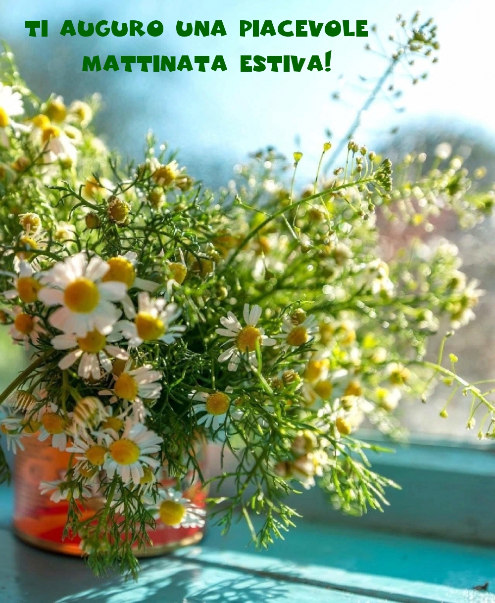 Ti auguro una piacevole mattinata estiva!