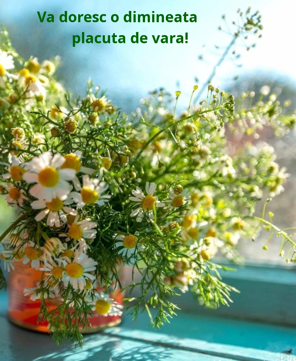 Va doresc o dimineata placuta de vara!