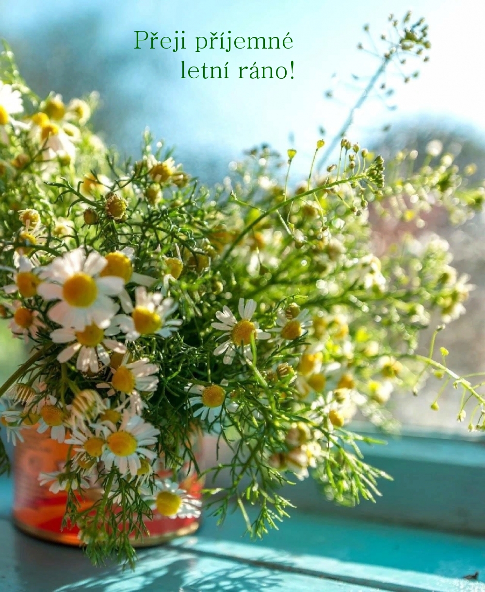 Přeji příjemné letní ráno!