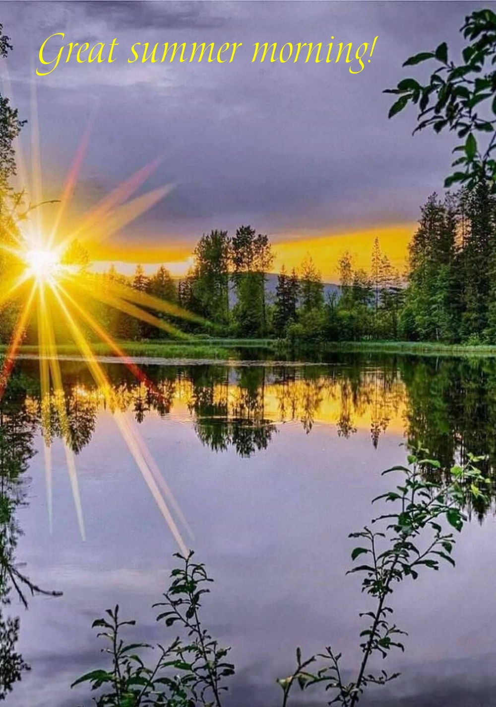 Great summer morning!