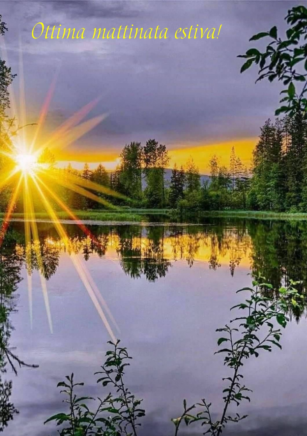 Ottima mattinata estiva!
