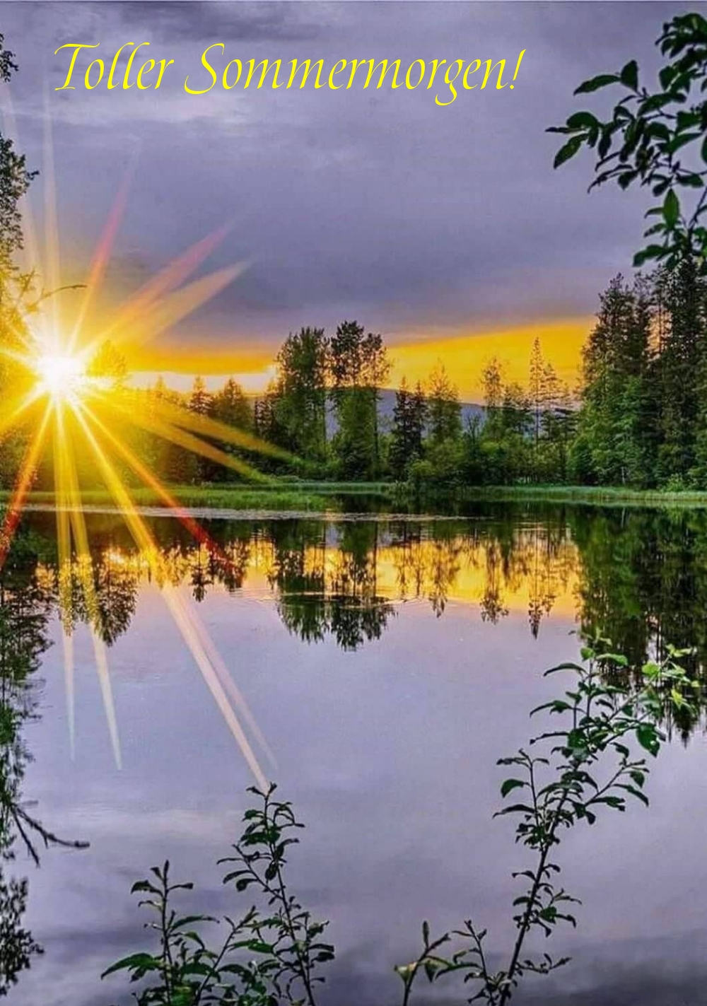 Toller Sommermorgen!