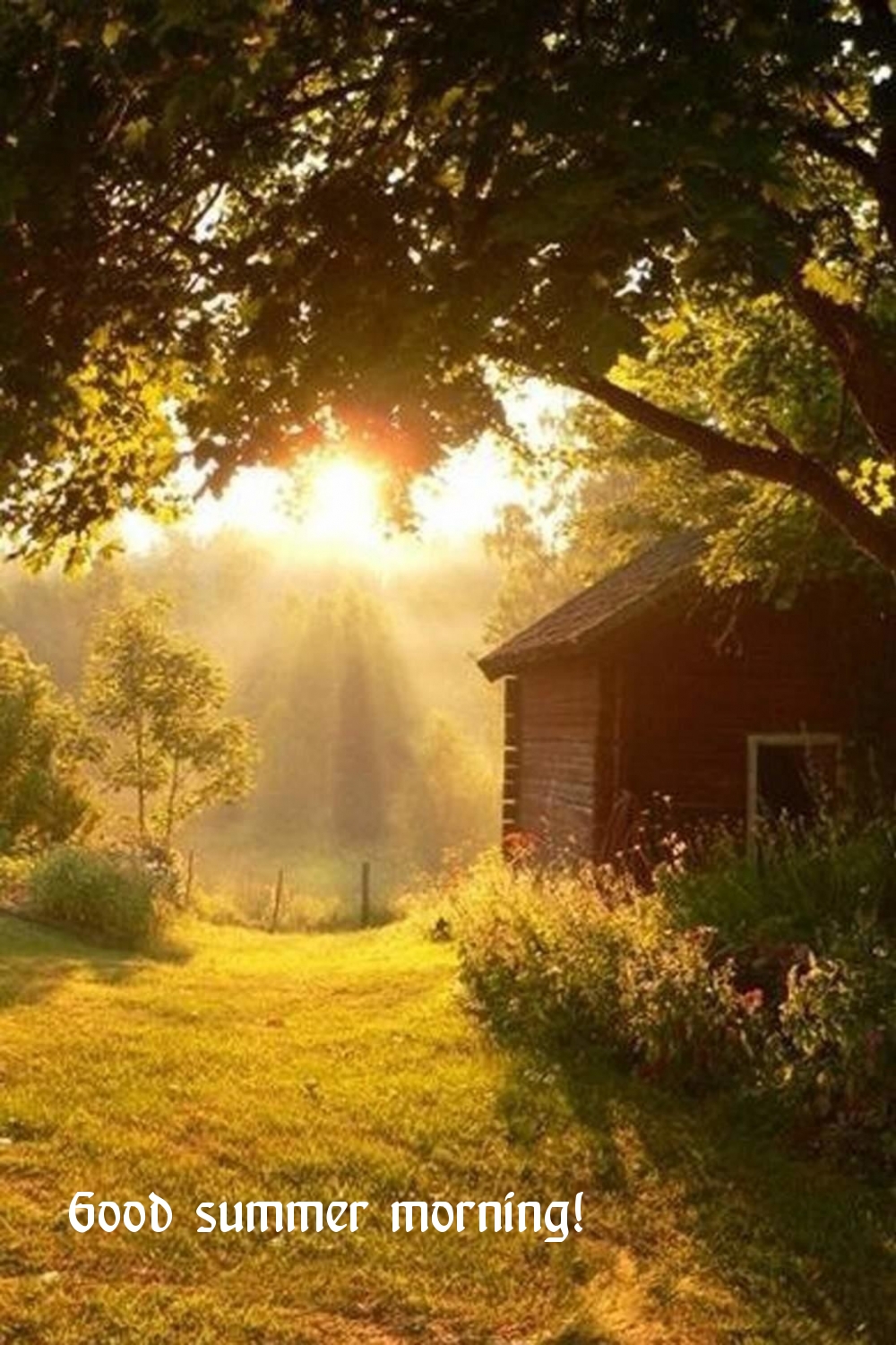 Good summer morning!