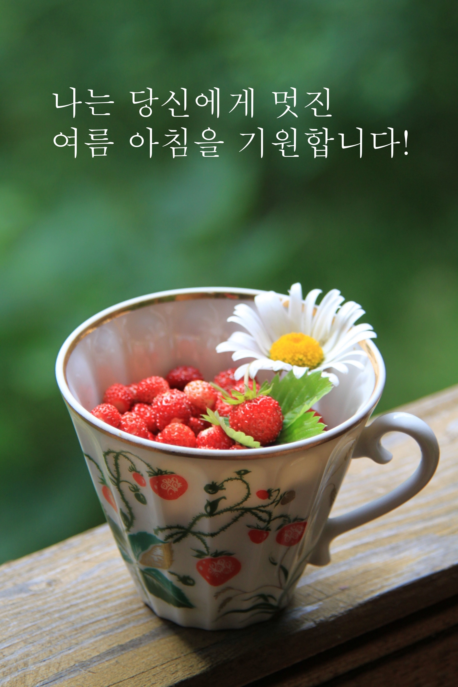 나는 당신에게 멋진 여름 아침을 기원합니다!