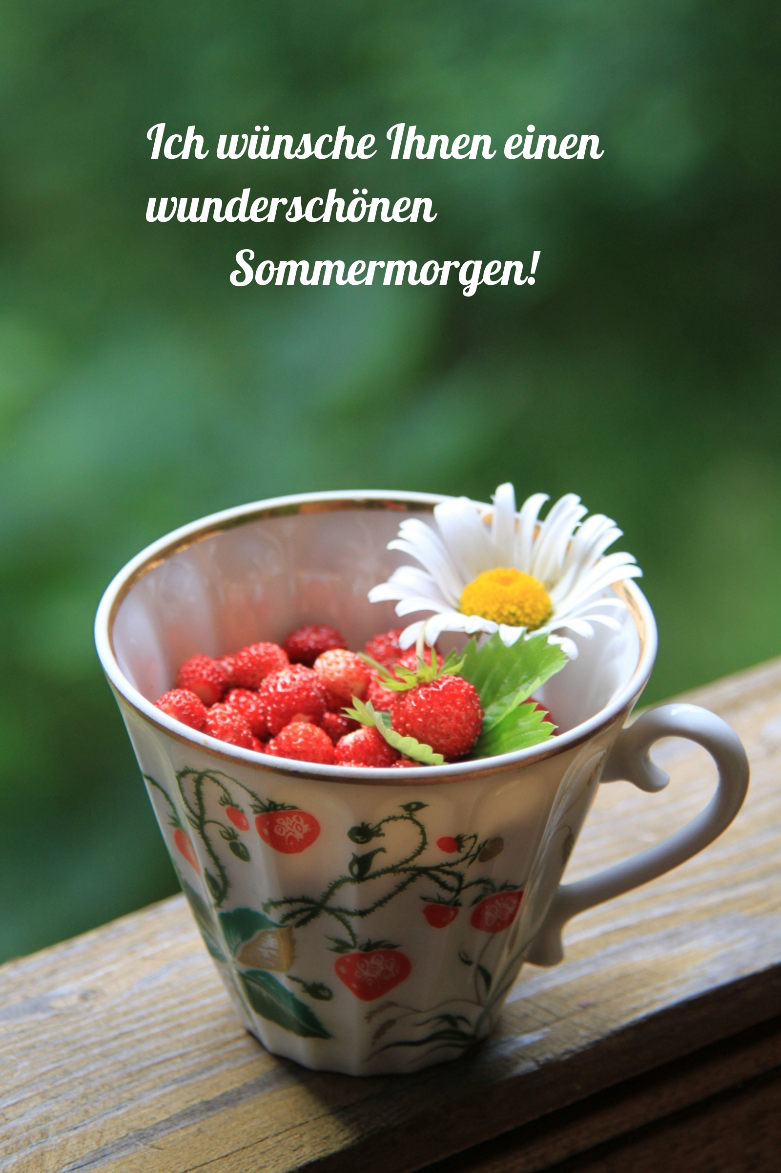 Ich wünsche Ihnen einen wunderschönen Sommermorgen!