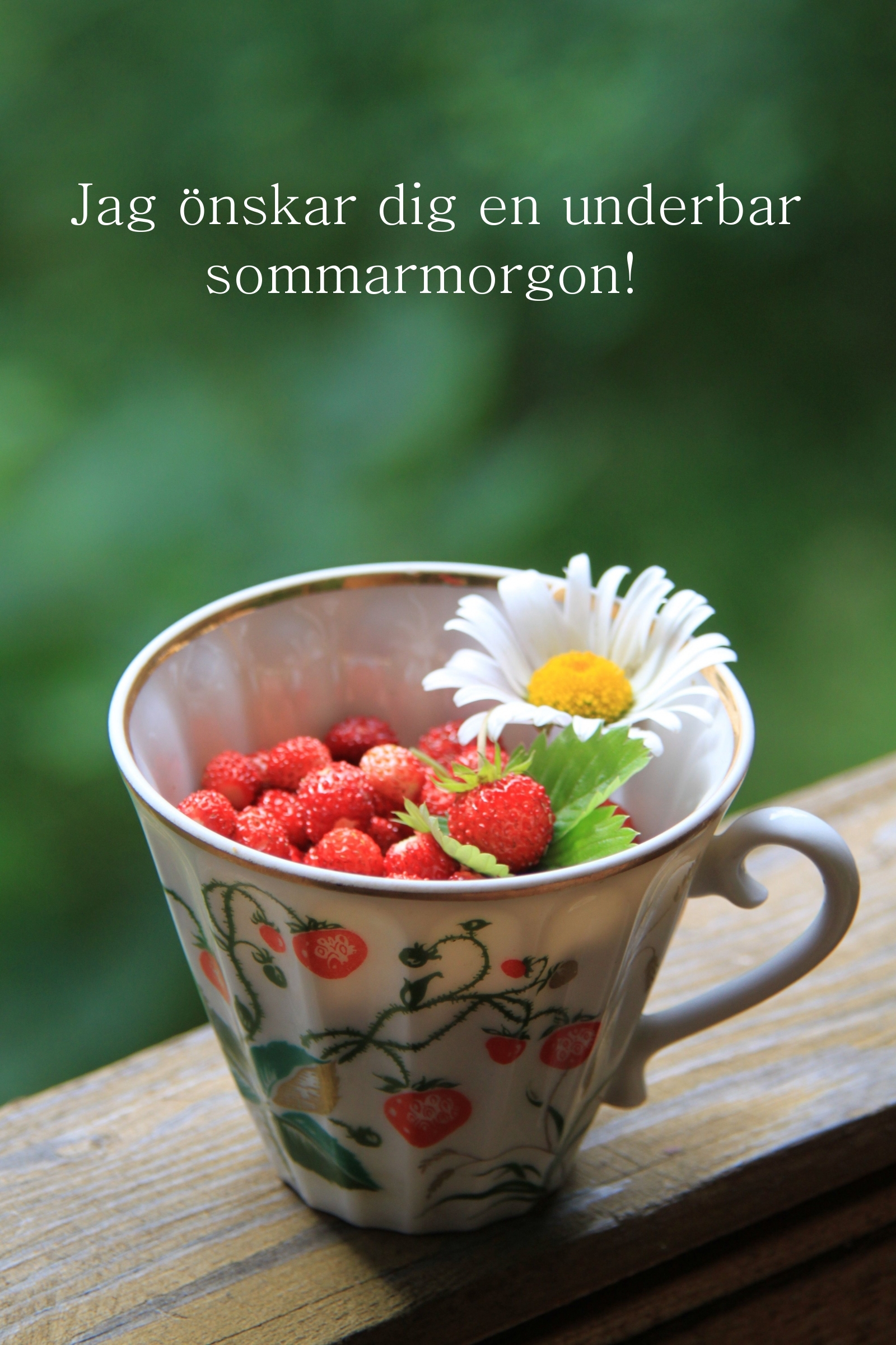 Jag önskar dig en underbar sommarmorgon!