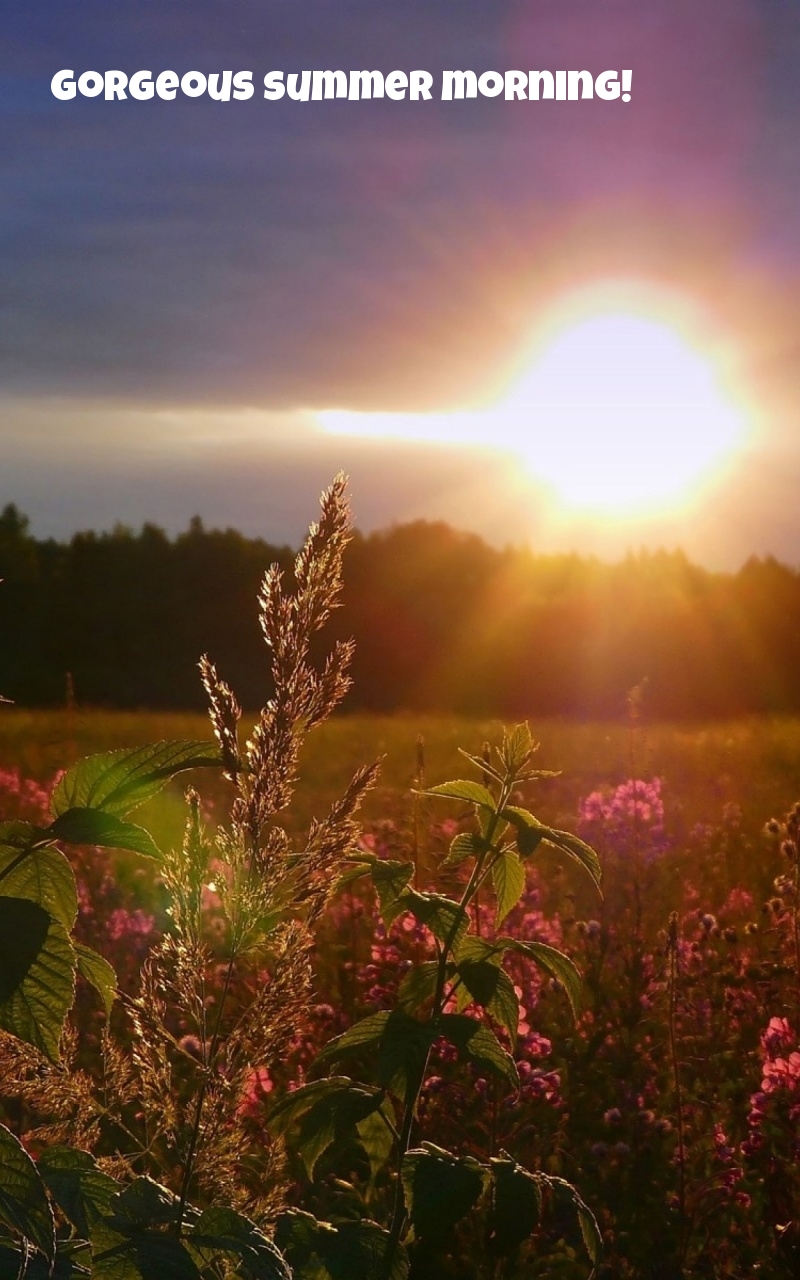 Gorgeous summer morning!