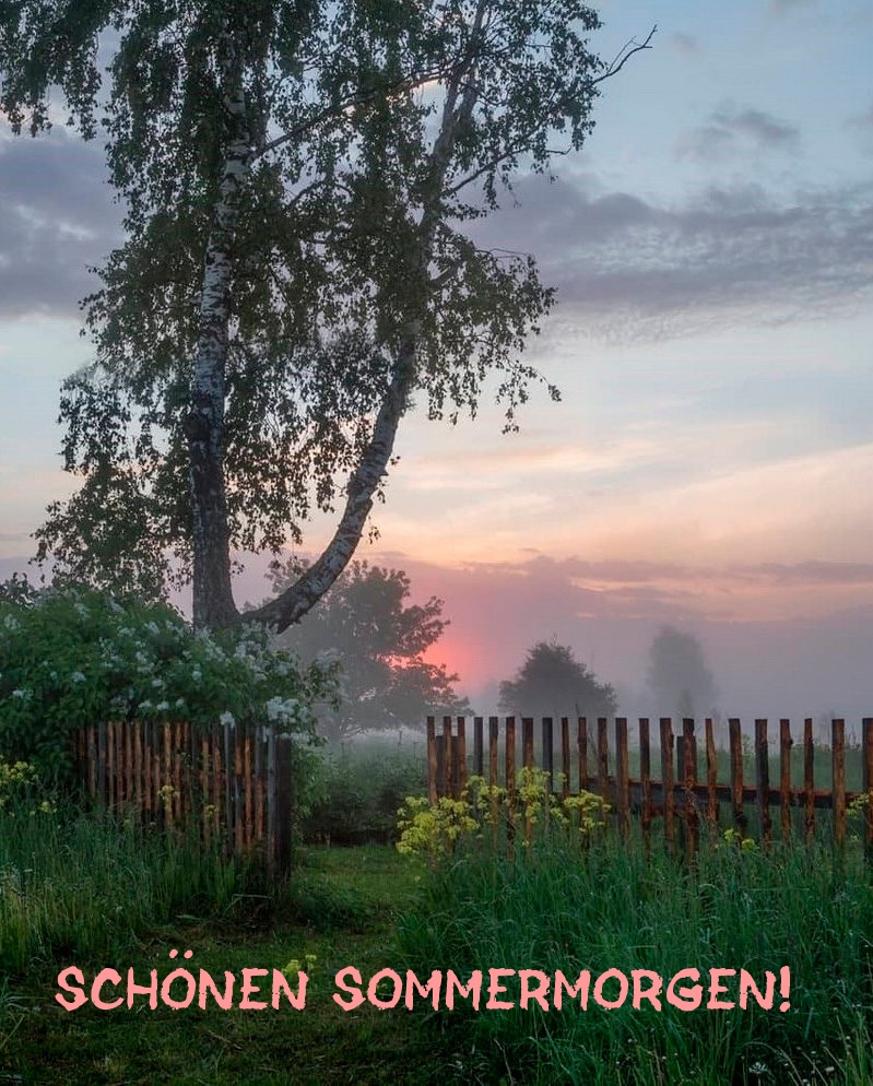 Schönen Sommermorgen!