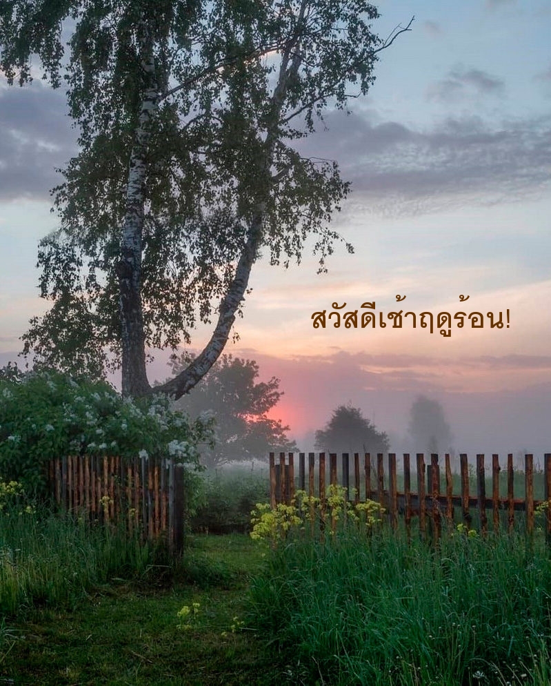 สวัสดีเช้าฤดูร้อน!