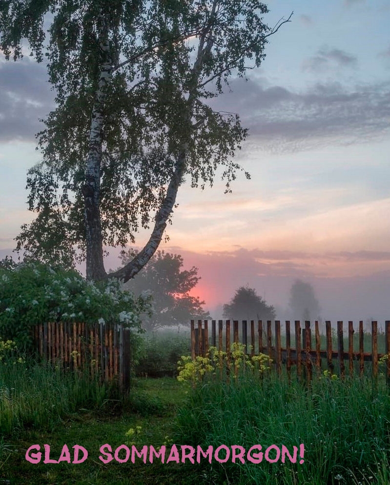 Glad sommarmorgon!