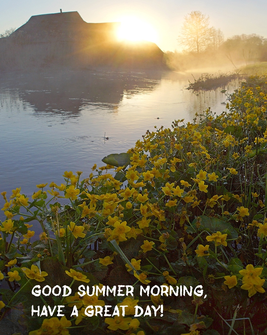 Good summer morning, have a great day!