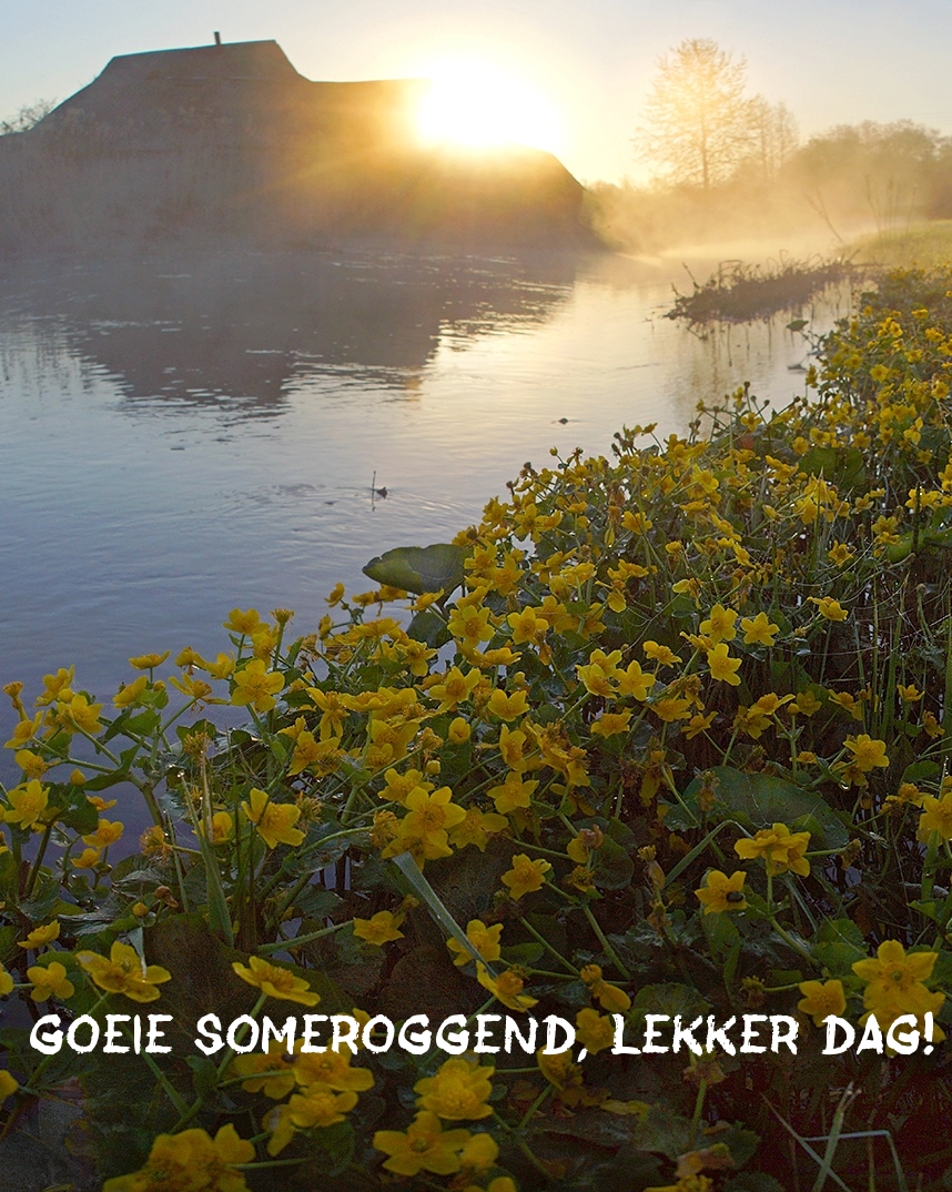 Goeie someroggend, lekker dag!