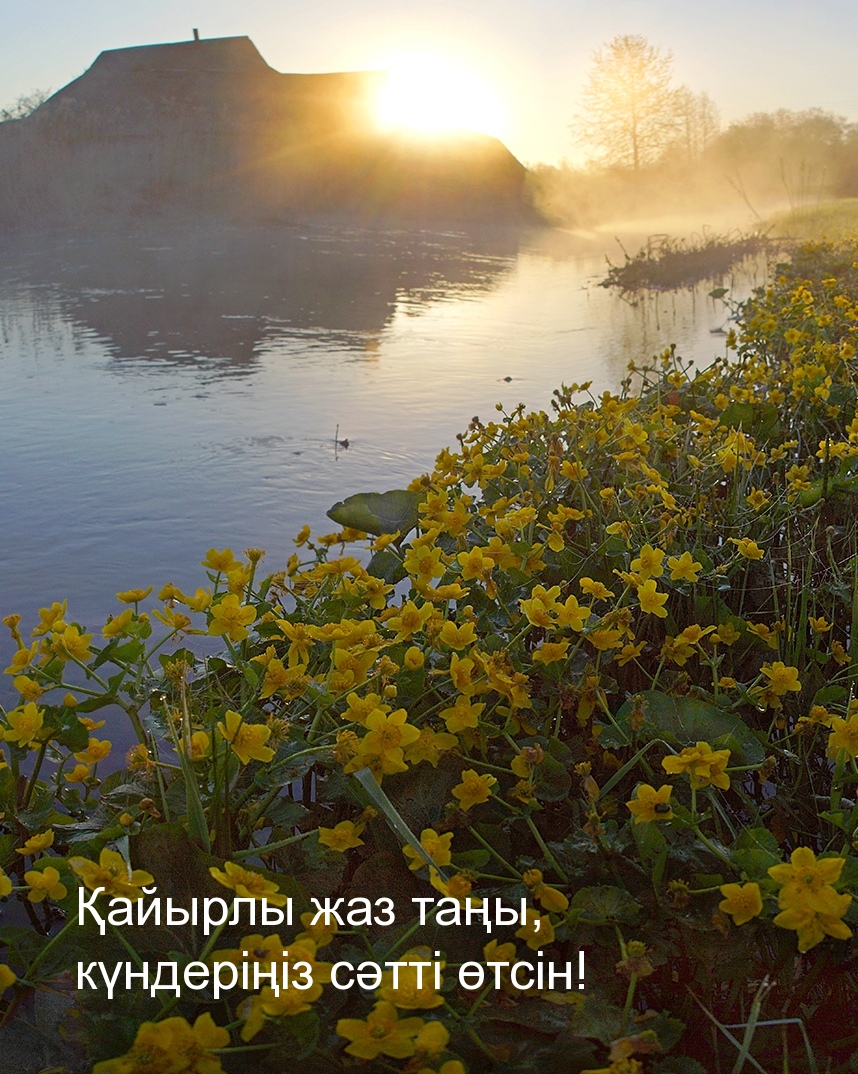 Қайырлы жаз таңы, күндеріңіз сәтті өтсін!