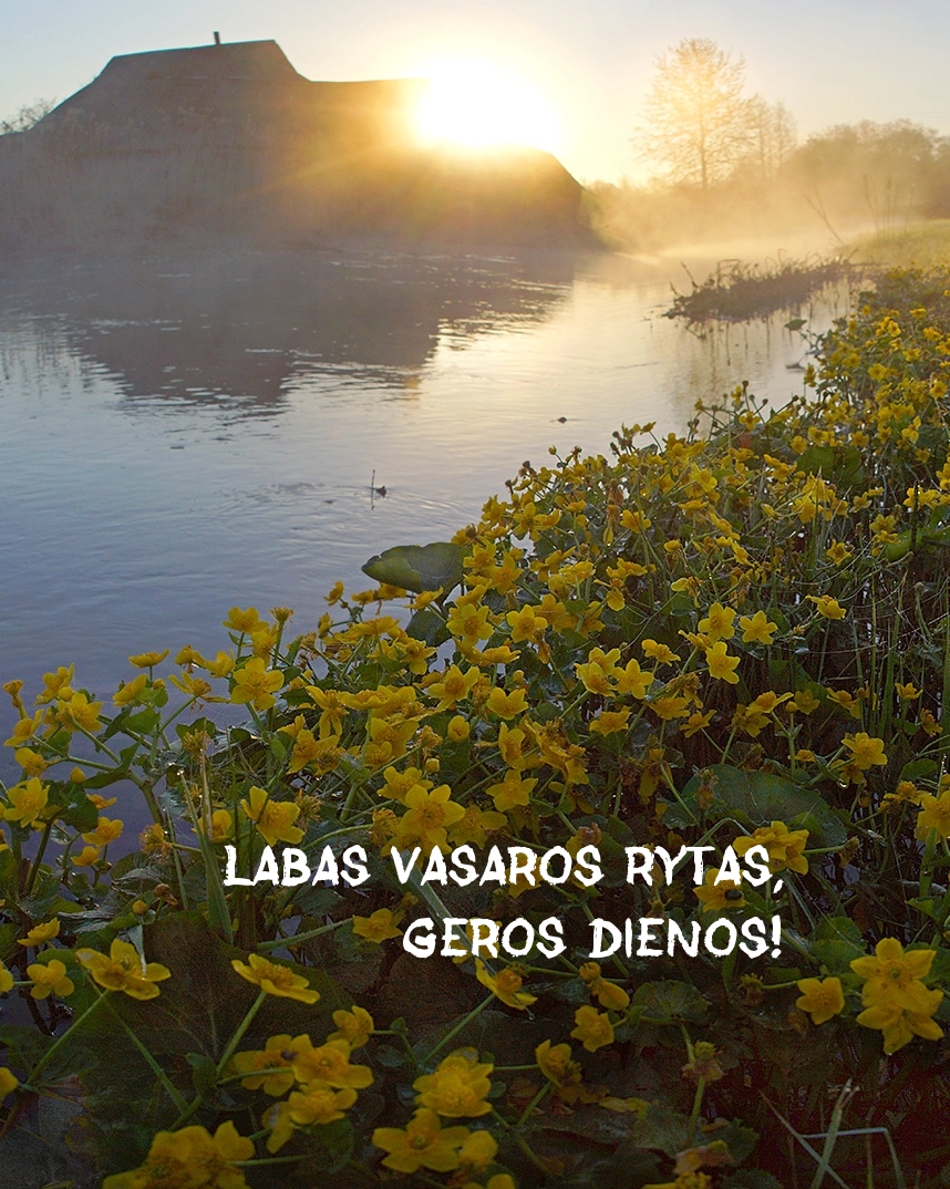 Labas vasaros rytas, geros dienos!