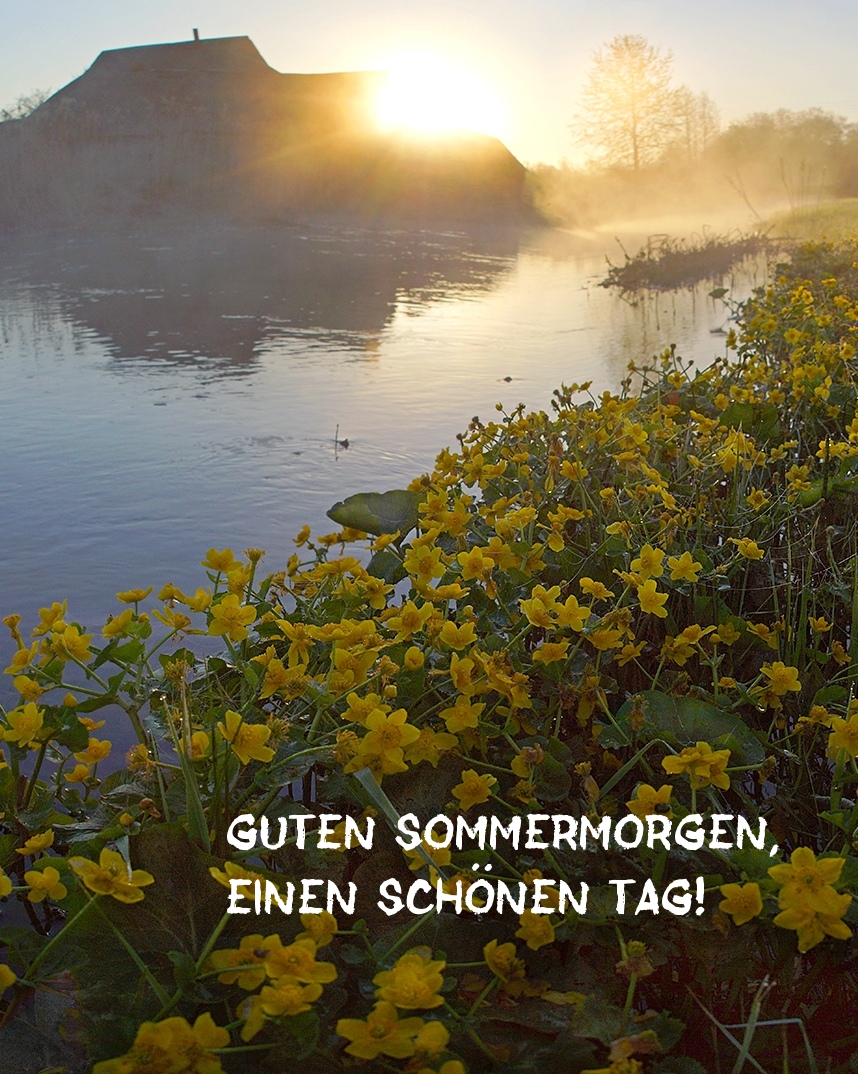 Guten Sommermorgen, einen schönen Tag!