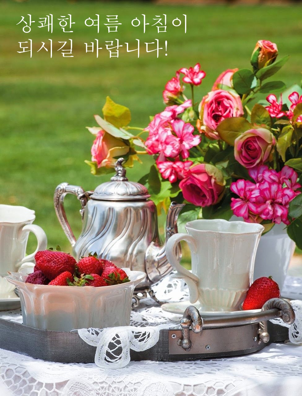 상쾌한 여름 아침이 되시길 바랍니다!