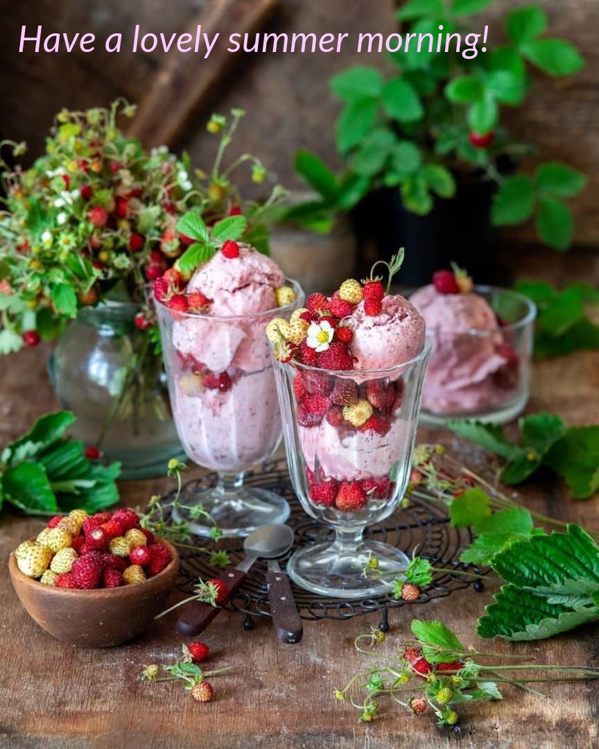 Have a lovely summer morning!