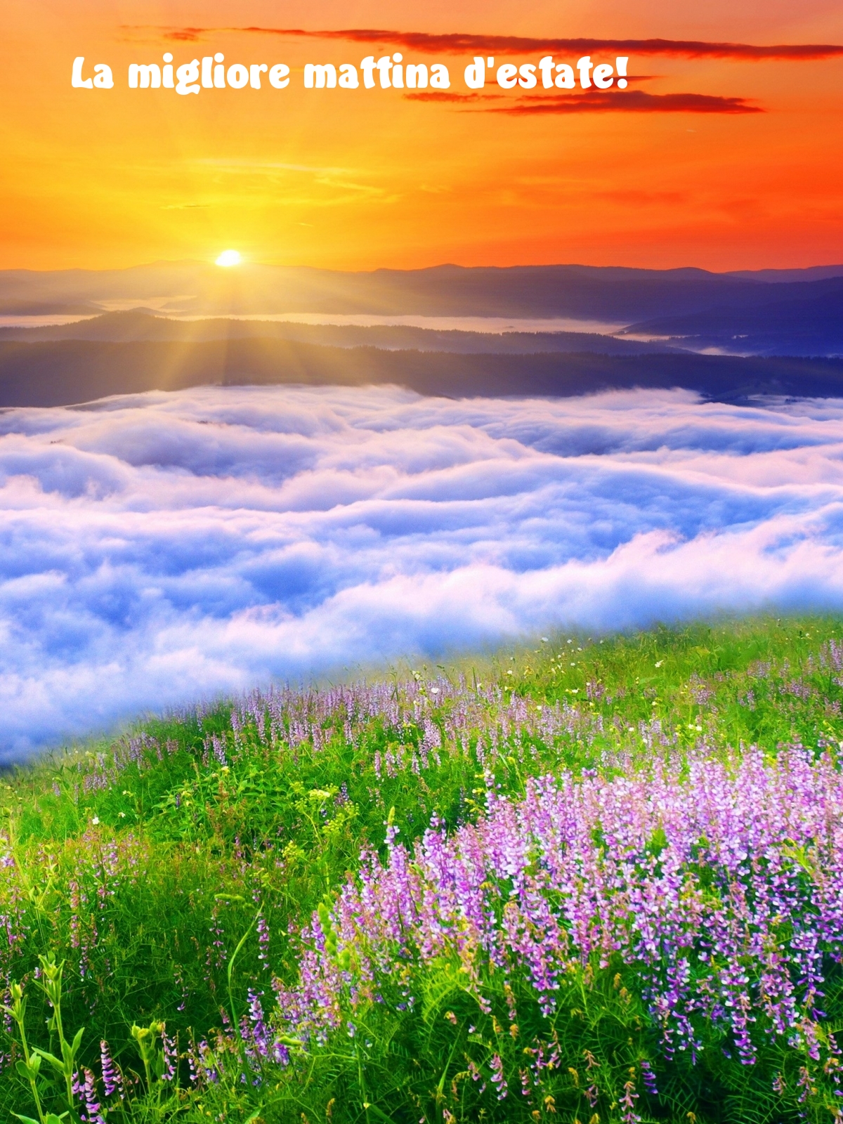 La migliore mattina d