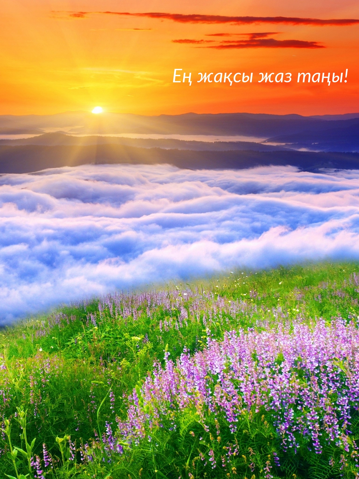 Ең жақсы жаз таңы!